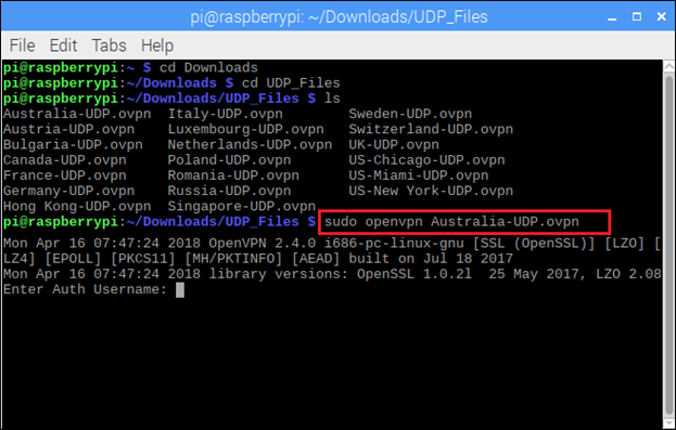 Raspberry Pi Open VPN TCP UDP