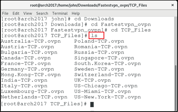 Arch Linux Open VPN TCP UDP