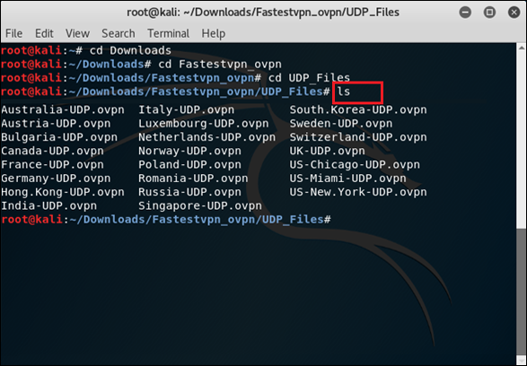 Настройка vpn kali linux
