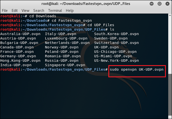 Kali Linux Open VPN TCP UDP