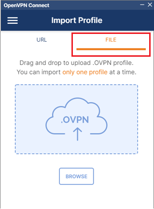 OpenVPN Connect on Windows