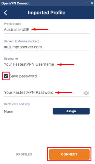 OpenVPN Connect application